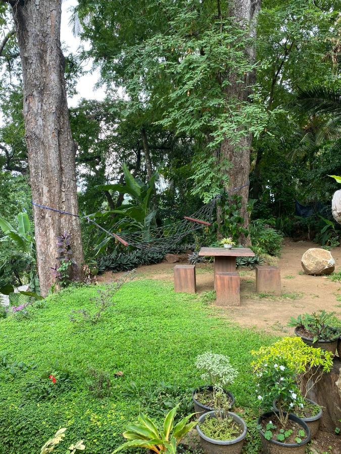 Pearl'S Homestay Матале Экстерьер фото